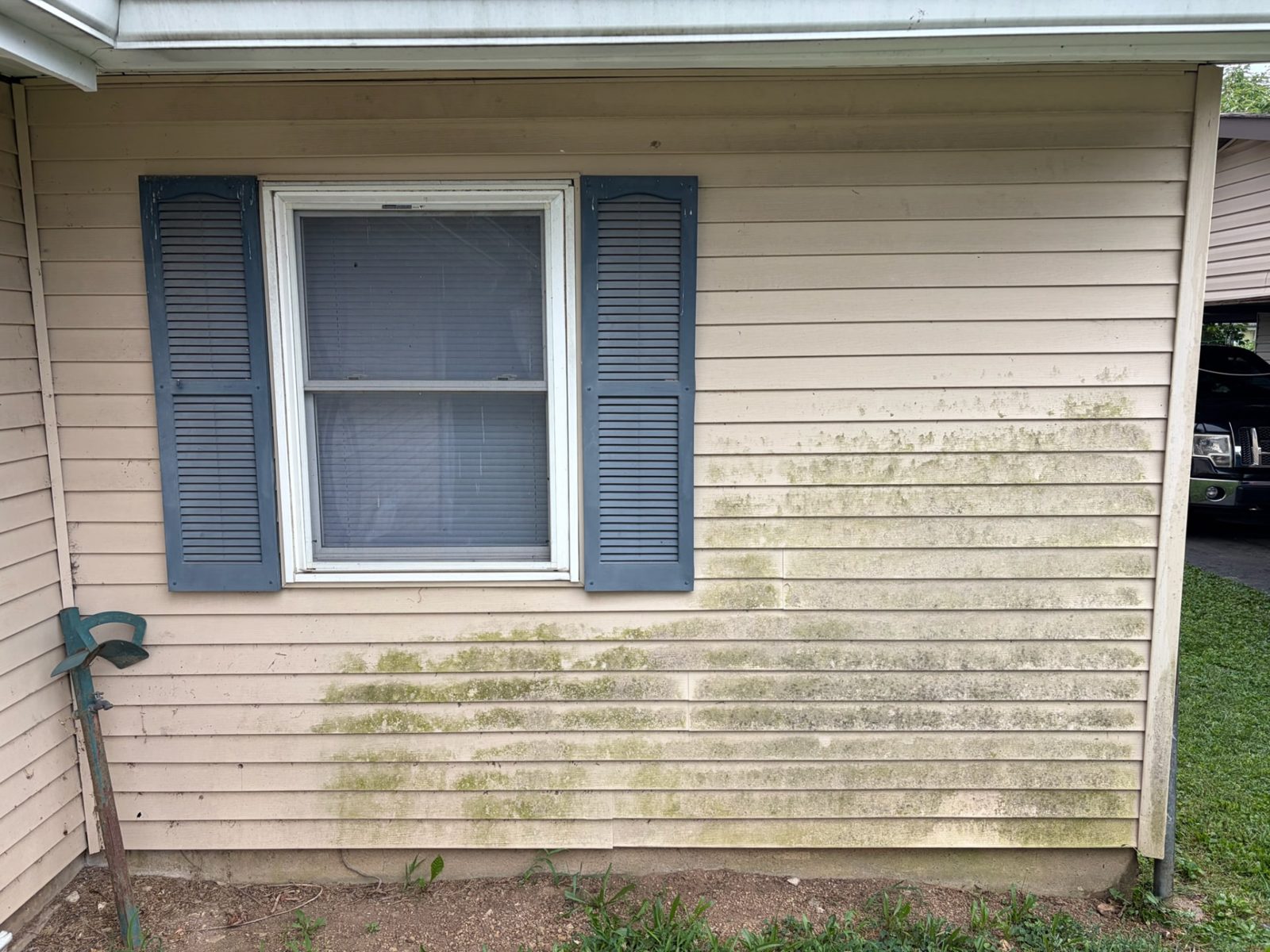 Before: Vinyl siding house wash — algae and mildew removed