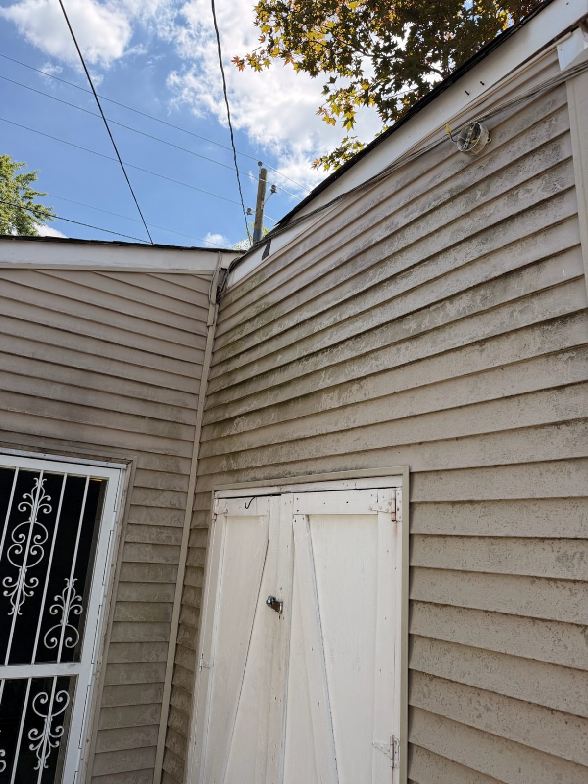 Before: Rear elevation siding and door cleaning